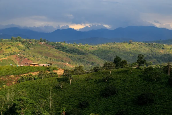 Jungle zöld mountains, Kolumbia, kolumbiai latin-Amerikában — Stock Fotó