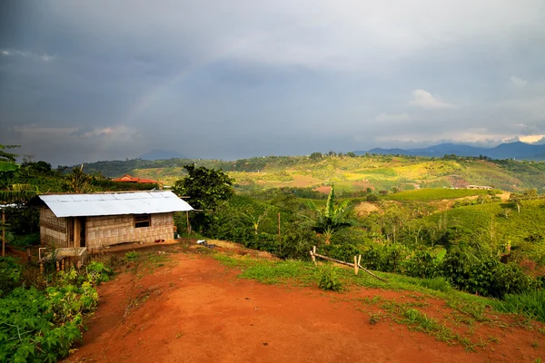 dağlar, colomb Dağları, yeşil ormanda yalnız evde