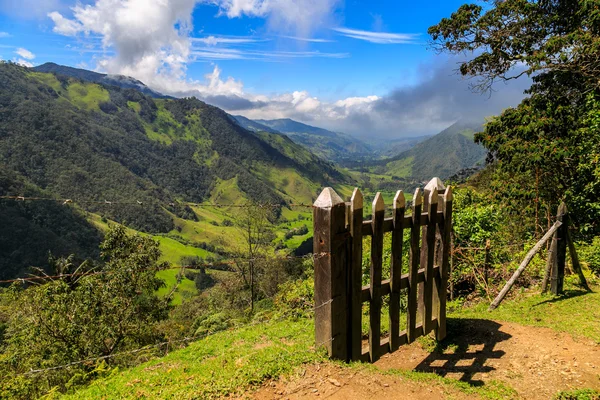 Cocora 밸리, 콜롬비아, 산 t, 산의 정상 — 스톡 사진