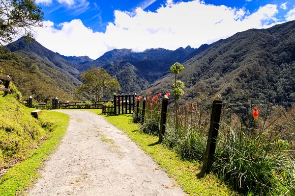 Na vrcholu hory, t cocora horská údolí, Kolumbie, — Stock fotografie