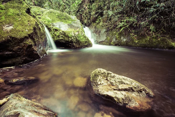 녹색 산, cocora와 함께 정글에서 강 폭포 발 — 스톡 사진