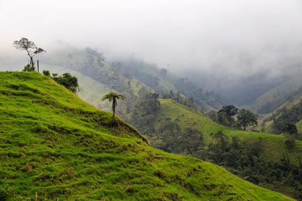 Ζούγκλα της Κολομβίας καταπράσινα βουνά, Κολομβία, Λατινικής Αμερικής — Φωτογραφία Αρχείου