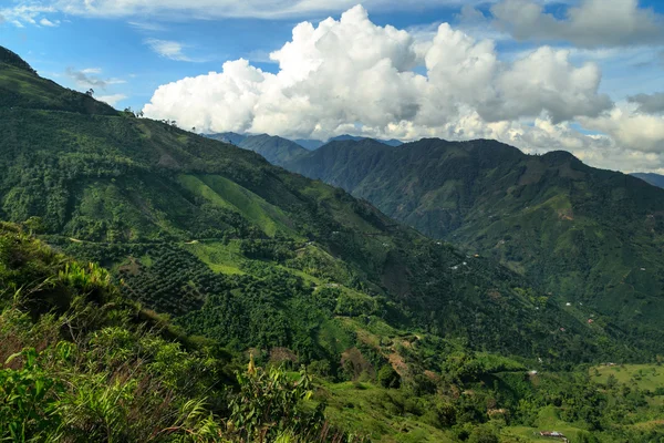 Ζούγκλα της Κολομβίας καταπράσινα βουνά, Κολομβία, Λατινικής Αμερικής — Φωτογραφία Αρχείου