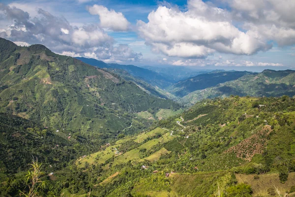 Orman Kolombiyalı Yeşil dağlar, Kolombiya, latin Amerika'da