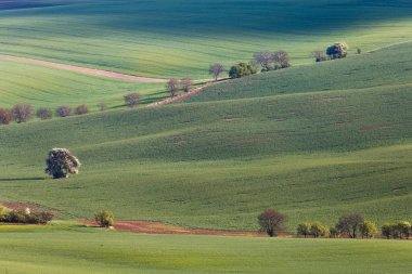 South Moravian alanları, Çek Cumhuriyeti alanları, moravia hills