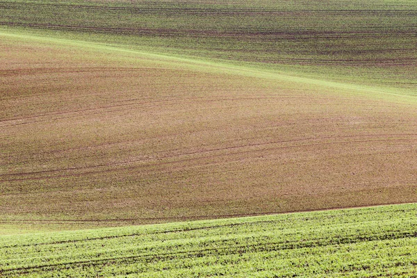 South Moravian velden, velden van Tsjechië, Moravie hills — Stockfoto