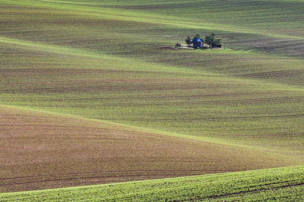 Südmährische Felder, tschechische Republik Felder, mährische Hügel — Stockfoto