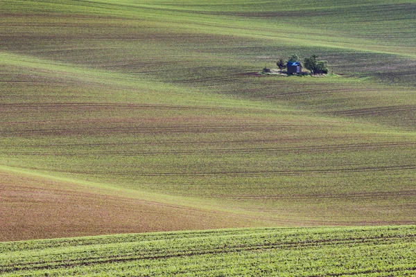 Поля Южной Моравии, Чешская Республика, холмы Моравии — стоковое фото