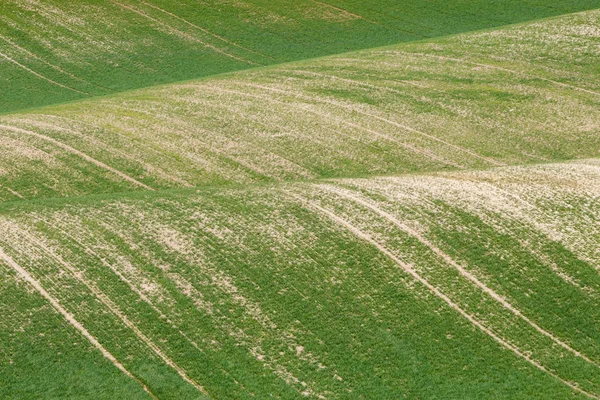 Campi della Moravia meridionale, campi della Repubblica Ceca, colline della Moravia — Foto Stock