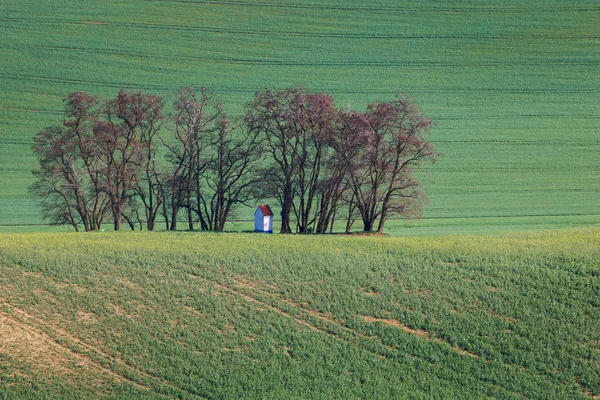 Південної Моравії поля, поля Чехії, Моравії пагорби — стокове фото