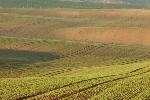 South Moravian velden, velden van Tsjechië, Moravie hills — Stockfoto