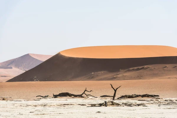 死干树的 Deadvlei 谷在纳米布沙漠 — 图库照片