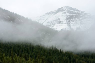 Yüksek irtifa orman ve karlı dağlar Jasper Milli Parkı