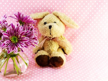 tavşan bebek ile yer kopya arka planı için