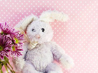 tavşan bebek ile yer kopya arka planı için