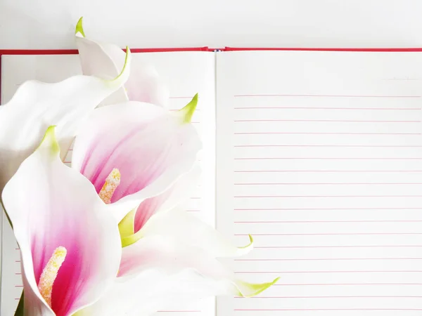 Spusťte Poznámkový blok a krásné calla umělé růžové květy kytice — Stock fotografie