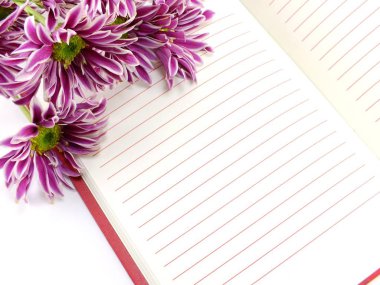 Açık not defteri ve güzel Kasımpatı pembe çiçekler buket