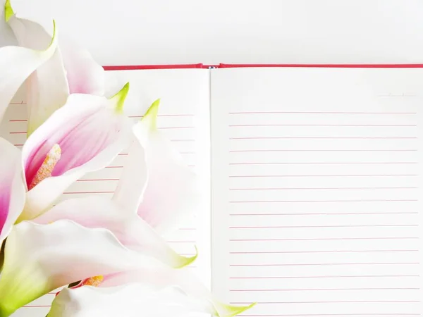 Spusťte Poznámkový blok a krásné calla umělé růžové květy kytice — Stock fotografie