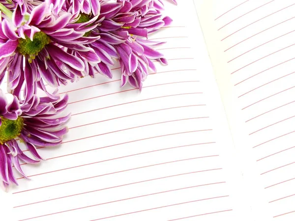 Spusťte Poznámkový blok a krásné chryzantémy růžové květy kytice — Stock fotografie