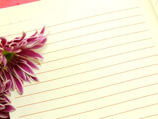 Spusťte Poznámkový blok a krásné chryzantémy růžové květy kytice — Stock fotografie