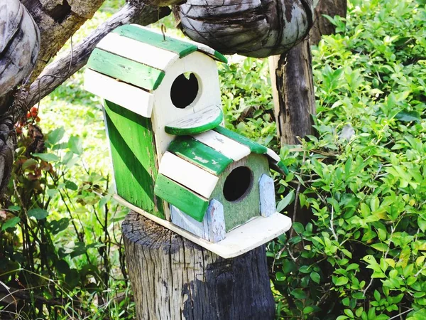 Vogelhaus Mit Natürlichen Grünen Blättern Hintergrund — Stockfoto