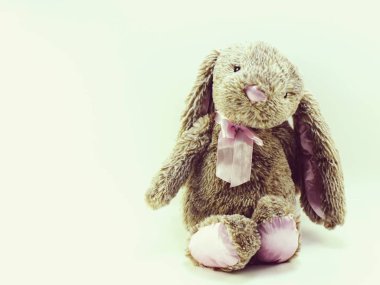 tavşan oyuncak rustik arka plan alanı metin vintage için renk filtreleri