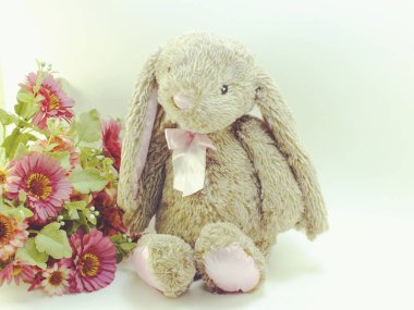 tavşan oyuncak rustik arka plan alanı metin vintage için renk filtreleri