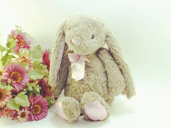 tavşan oyuncak rustik arka plan alanı metin vintage için renk filtreleri