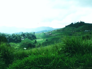 güzel dağlar orman manzara