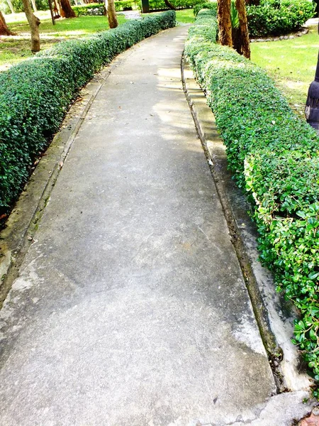 Caminho caminho no jardim com fundo de grama verde — Fotografia de Stock