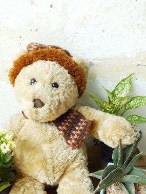 yeşil bitki tahta masada oturan bir oyuncak ayı