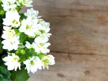 karanfiller üstten görünüm ahşap tablo