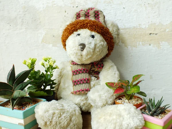 Oso Peluche Sentado Una Mesa Madera Con Planta Verde —  Fotos de Stock