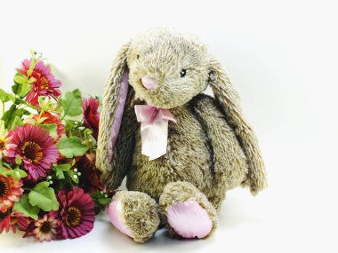 tavşan oyuncak rustik arka plan alanı metin vintage için renk filtreleri