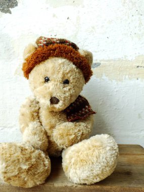 Oyuncak ayıların romantik çift