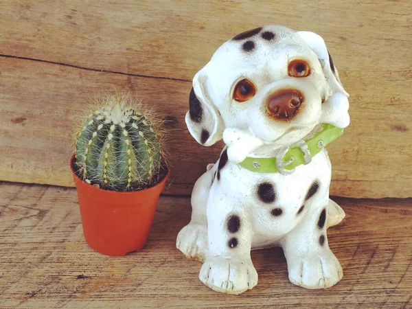 Hond en cactus collectie in kleine bloempotten — Stockfoto
