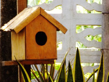 açık havada bahçe ahşap kuş evi