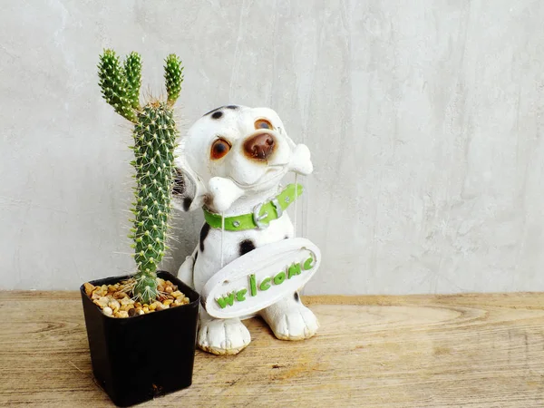 Hond keramiek met Welkom bord en cactus in pot op houten tafel stilleven — Stockfoto
