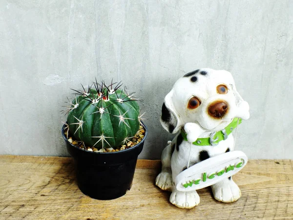 dog ceramic with welcome sign and cactus in pot on wooden table still life
