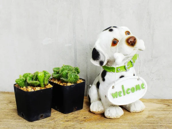 Hond keramiek met Welkom bord en cactus in pot op houten tafel stilleven — Stockfoto