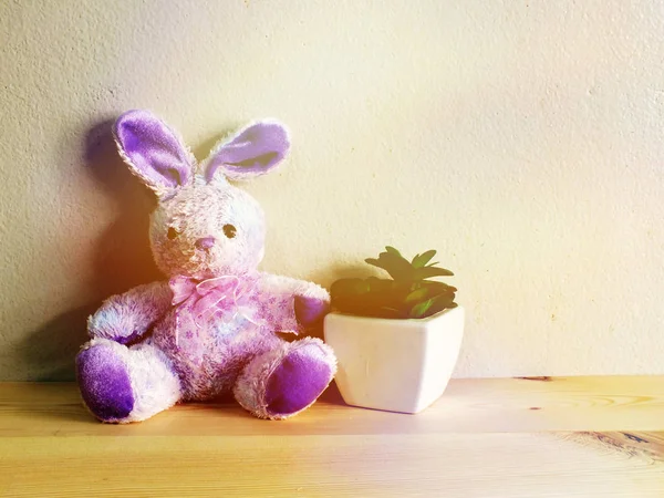 Muñeca de conejo lindo con fondo de madera y copia de espacio —  Fotos de Stock