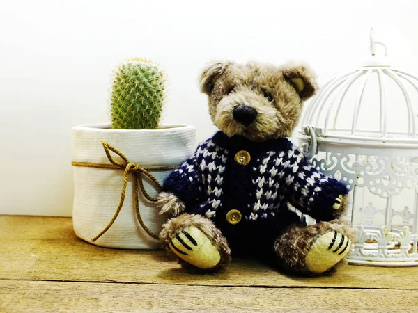 Brown teddy beer zittend op houten tafel met cactus in de kleine pot en ruimte kopiëren — Stockfoto