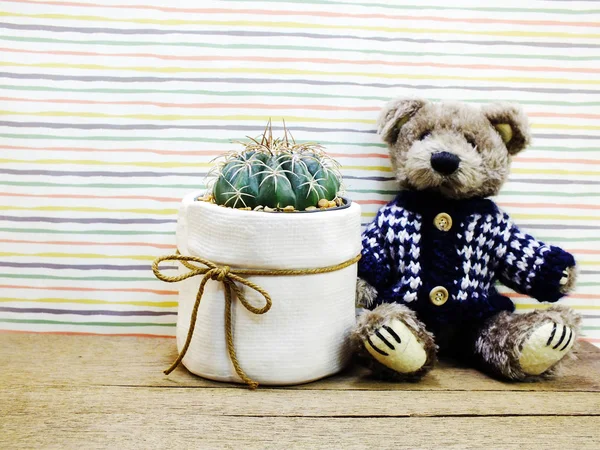 Ours en peluche brun assis sur une table en bois avec cactus dans un petit pot et copie de l'espace — Photo