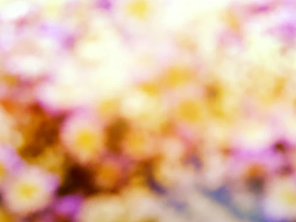 Flower Blooming Abstract Background Romantic Abstract Background — Stock Photo, Image