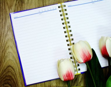 Uzay kopya boş defter ile yapay çiçek arka plan