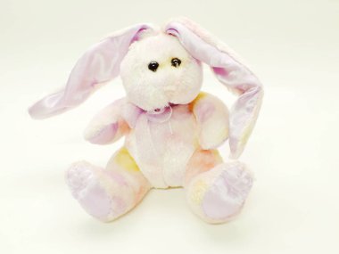 tavşan Paskalya tavşanı bebek beyaz arka plan üzerinde