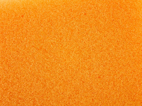 sponge texture background close up