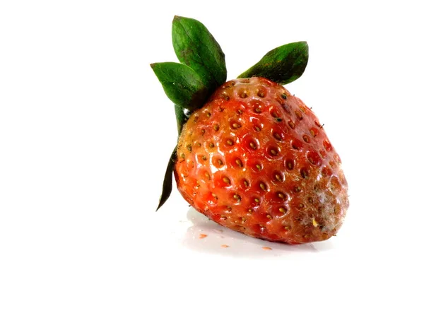 Rotten Strawberries White Background — Stock Photo, Image