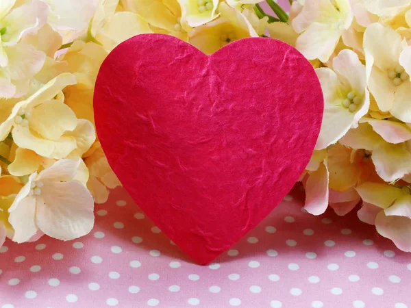 Fondo Del Corazón Día San Valentín Hermosas Flores Hortensias Rosadas — Foto de Stock