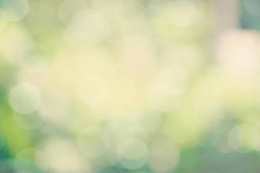 yeşil renk arka plan bulanık odak bokeh için şablon ışık ile